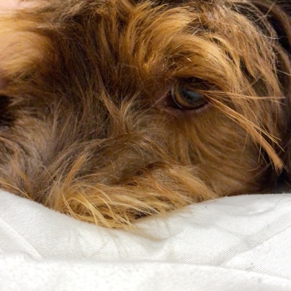 Meet your Posher, Elena - Picture 1 of 1